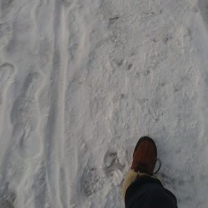 Meet your Posher, Paul